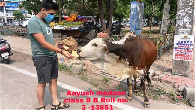 Good Deeds by Class 9 Students.