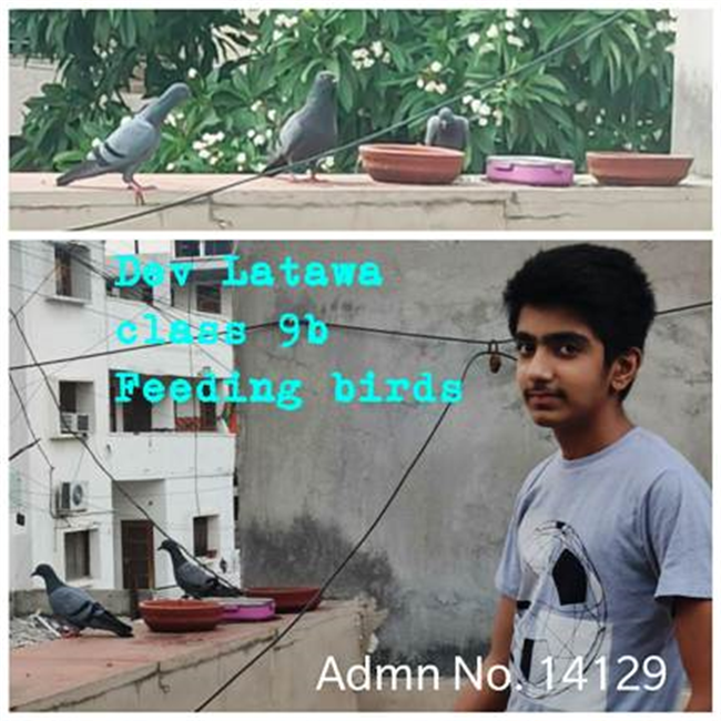 Good Deeds by Class 9 Students.