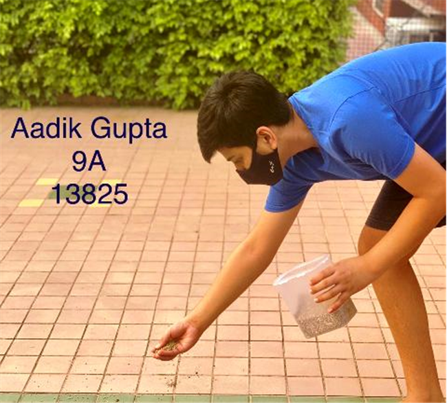 Good Deeds by Class 9 Students.