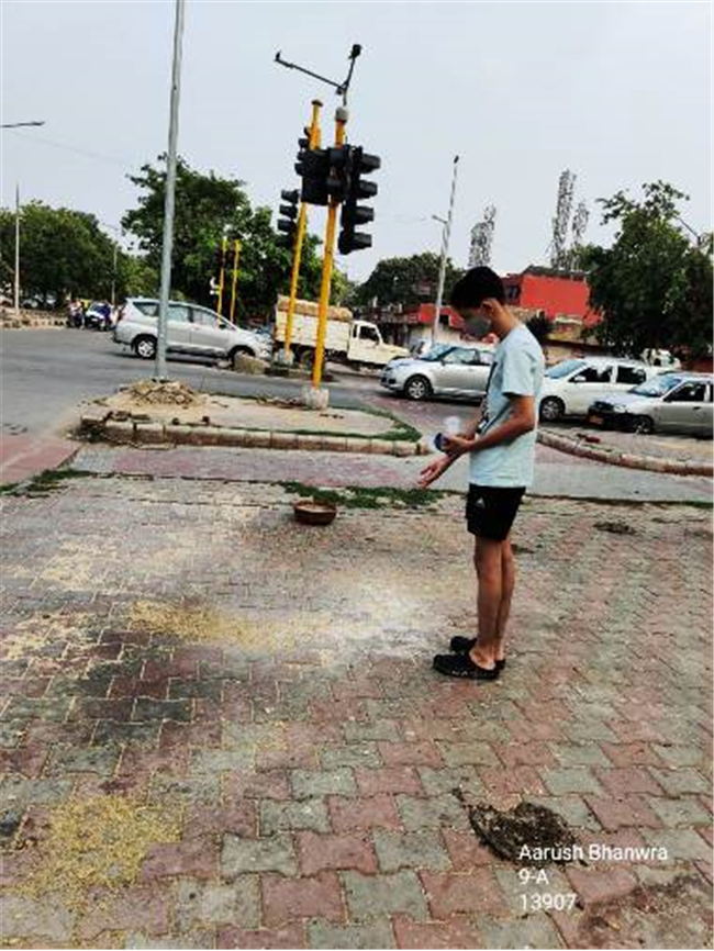 Good Deeds by Class 9 Students.