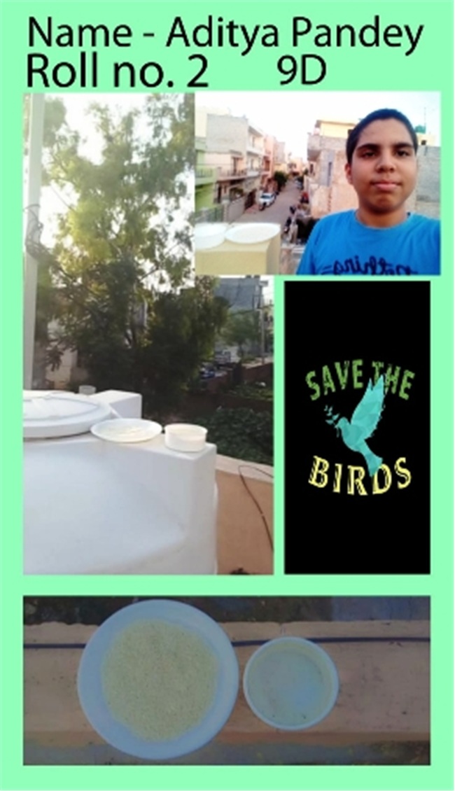 Good Deeds by Class 9 Students.