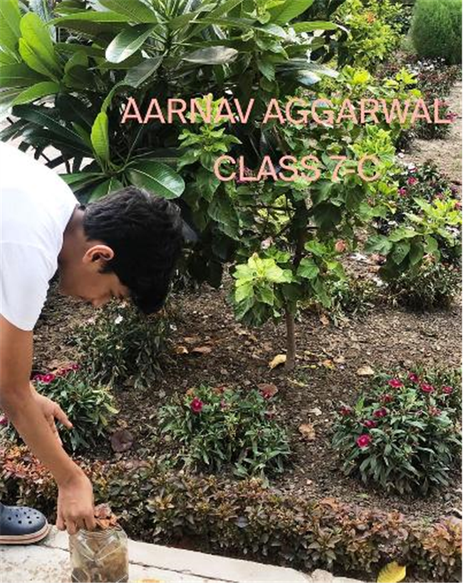 Good Deeds by Class 7 Students.