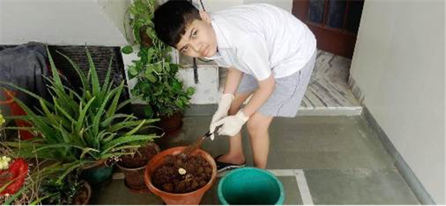 Good Deeds by Class 7 Students.