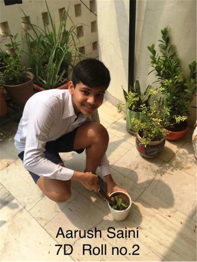Good Deeds by Class 7 Students.