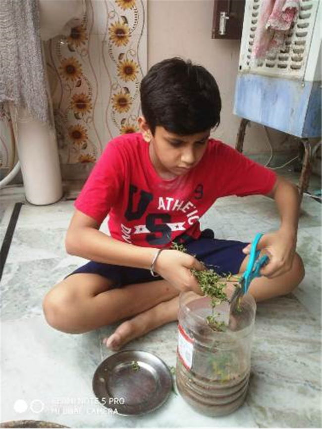 Good Deeds by Class 7 Students.