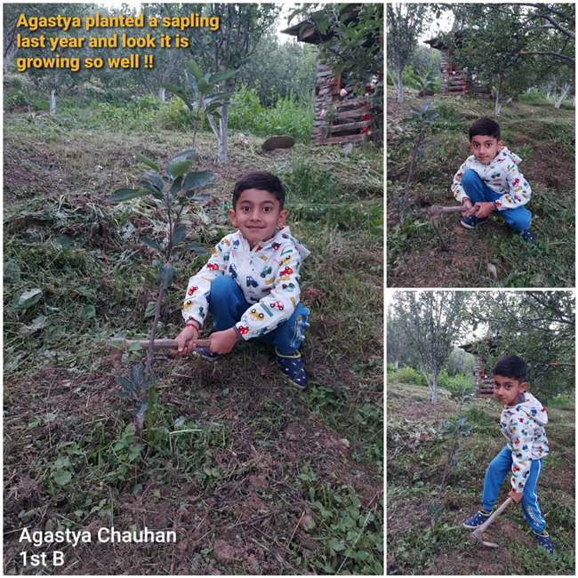 Good Deeds by Class 1 Students
