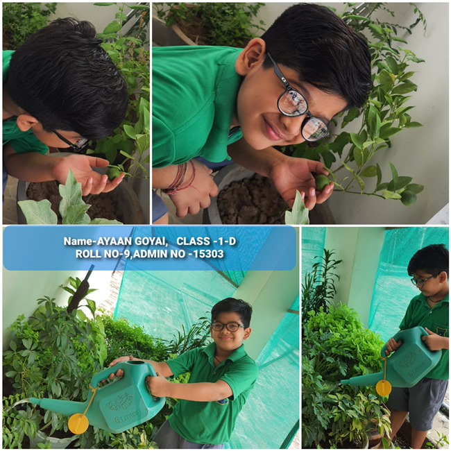 Good Deeds by Class 1 Students
