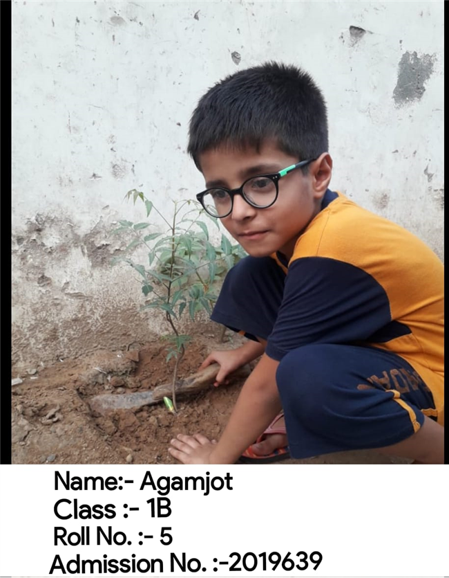 Good Deeds by Class 1 Students