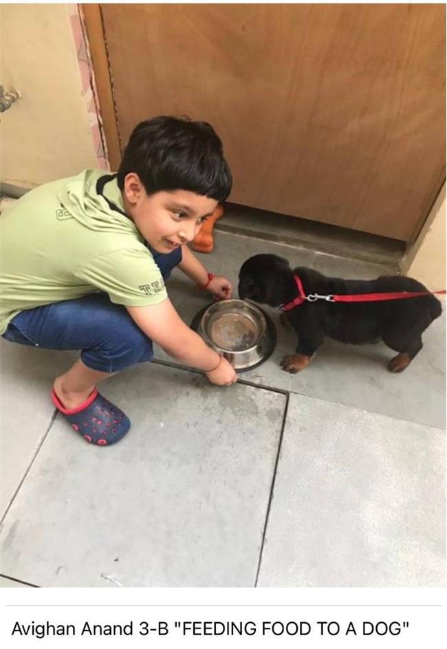 Good Deeds by Class 3 Students