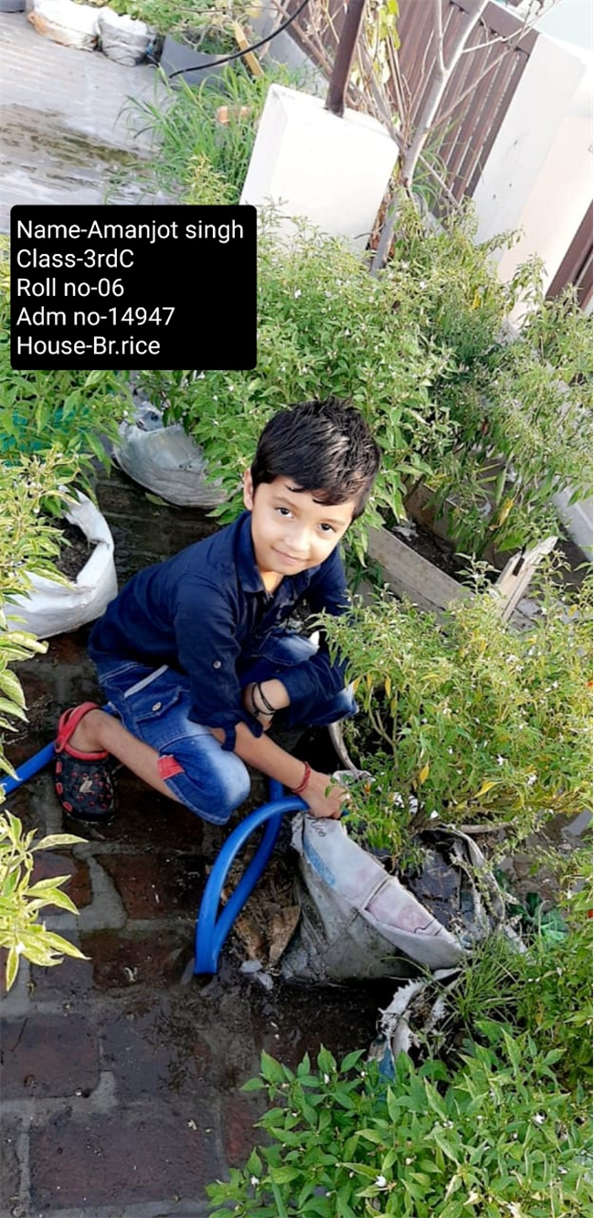 Good Deeds by Class 3 Students