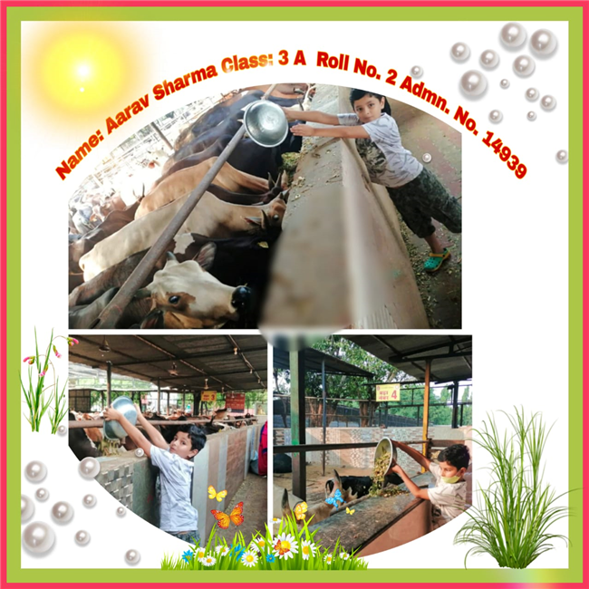 Good Deeds by Class 3 Students