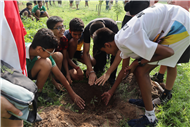 MARATHON AND SAPLING PLANTING EVENT