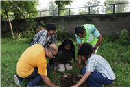 MARATHON AND SAPLING PLANTING EVENT