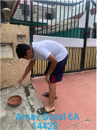 Good Deeds by Class 6 Students.