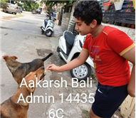 Good Deeds by Class 6 Students.