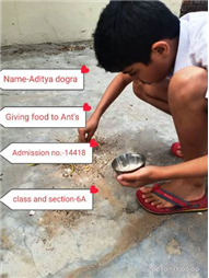Good Deeds by Class 6 Students.