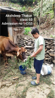Good Deeds by Class 6 Students.