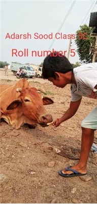 Good Deeds by Class 6 Students.