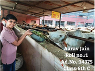 Good Deeds by Class 6 Students.