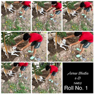 Good Deeds by Class 6 Students.