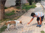 Good Deeds by Class 6 Students.