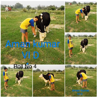 Good Deeds by Class 6 Students.