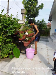 Good Deeds by Class 8 Students.
