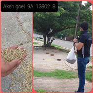 Good Deeds by Class 9 Students.