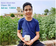 Good Deeds by Class 9 Students.