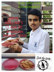 Good Deeds by Class 9 Students.