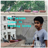 Good Deeds by Class 9 Students.