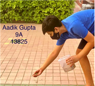 Good Deeds by Class 9 Students.