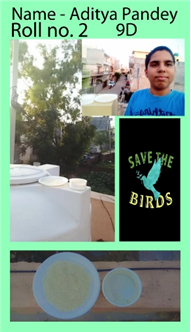 Good Deeds by Class 9 Students.