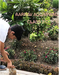 Good Deeds by Class 7 Students.