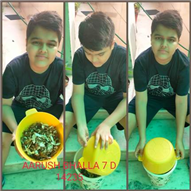 Good Deeds by Class 7 Students.