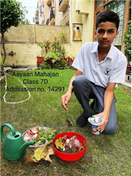 Good Deeds by Class 7 Students.