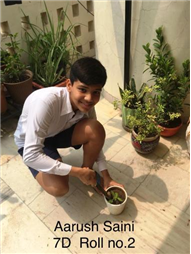 Good Deeds by Class 7 Students.