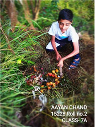 Good Deeds by Class 7 Students.