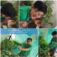 Good Deeds by Class 1 Students
