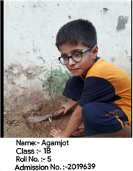 Good Deeds by Class 1 Students