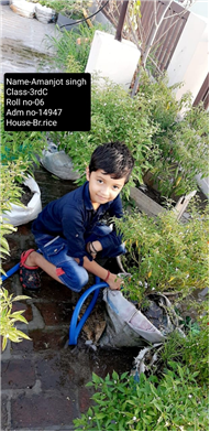 Good Deeds by Class 3 Students