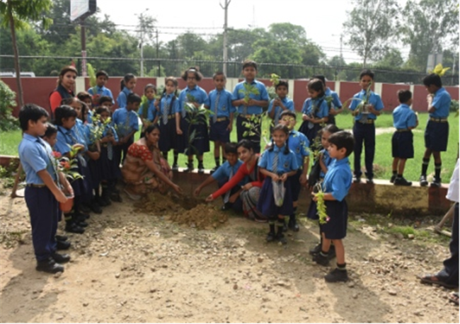 Rooted in Green: A Van Mahotsav Celebration by Young Eco-Warriors