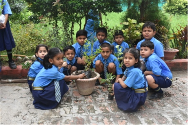 Rooted in Green: A Van Mahotsav Celebration by Young Eco-Warriors