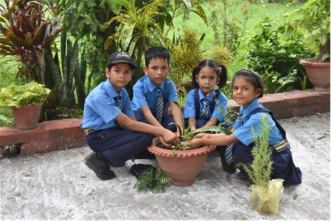 Rooted in Green: A Van Mahotsav Celebration by Young Eco-Warriors