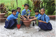 Rooted in Green: A Van Mahotsav Celebration by Young Eco-Warriors