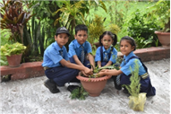 Rooted in Green: A Van Mahotsav Celebration by Young Eco-Warriors