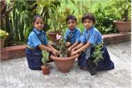 Rooted in Green: A Van Mahotsav Celebration by Young Eco-Warriors