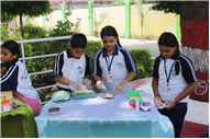 Master Chef Activity