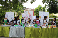 Master Chef Activity