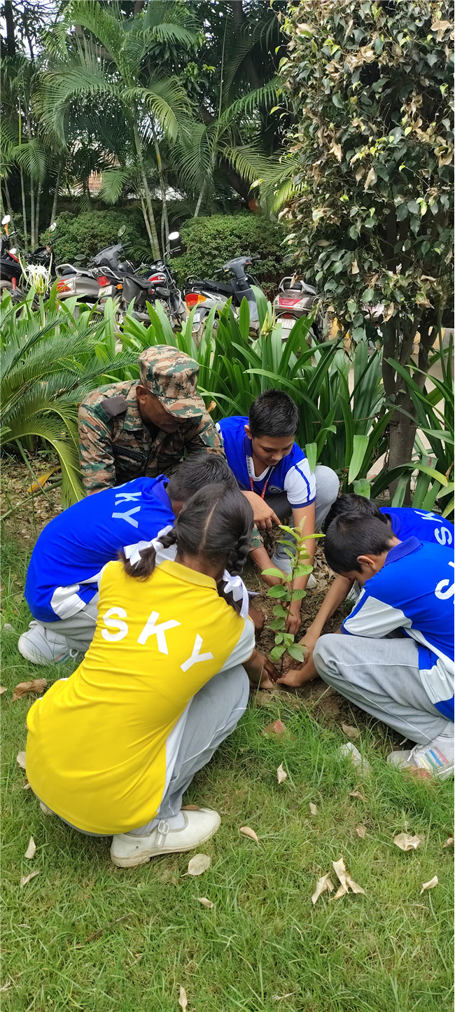 ?? Van Mahotsav Celebrated at Sky Public School ??